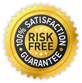 risk-free-brain-song